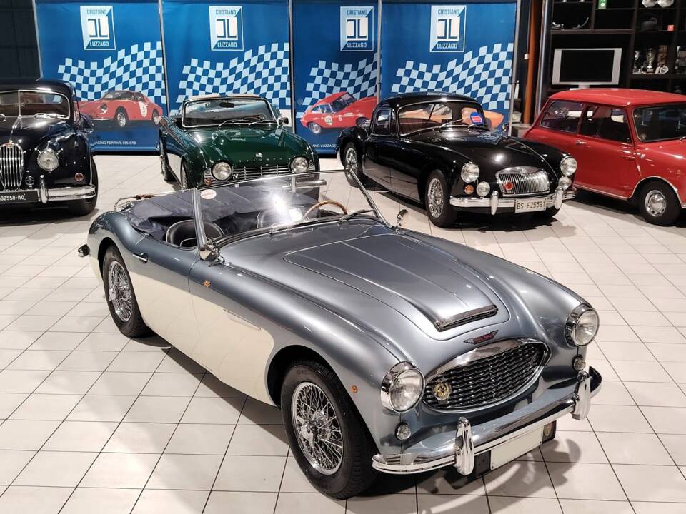 Imagen 14/72 de Austin-Healey 100/6 (BN4) (1957)