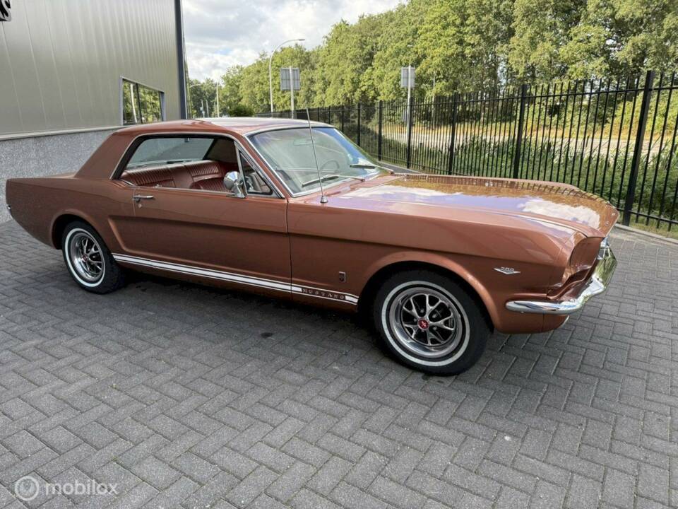 Image 5/33 of Ford Mustang GT (1966)
