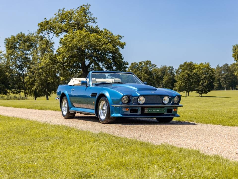 Afbeelding 13/40 van Aston Martin V8 Vantage Volante X-Pack (1989)
