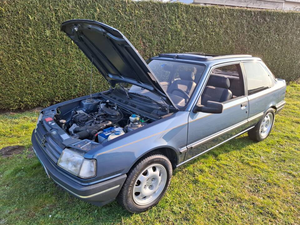 Image 27/27 de Peugeot 309 (1990)