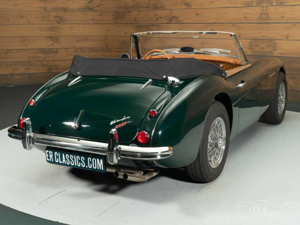 Bild 15/19 von Austin-Healey 3000 Mk III (BJ8) (1965)