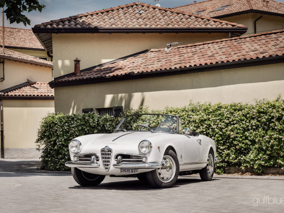 Image 18/71 de Alfa Romeo Giulietta Spider (1960)