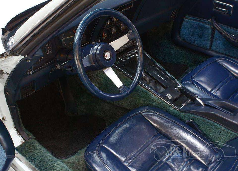 Imagen 13/19 de Chevrolet Corvette Sting Ray (1978)