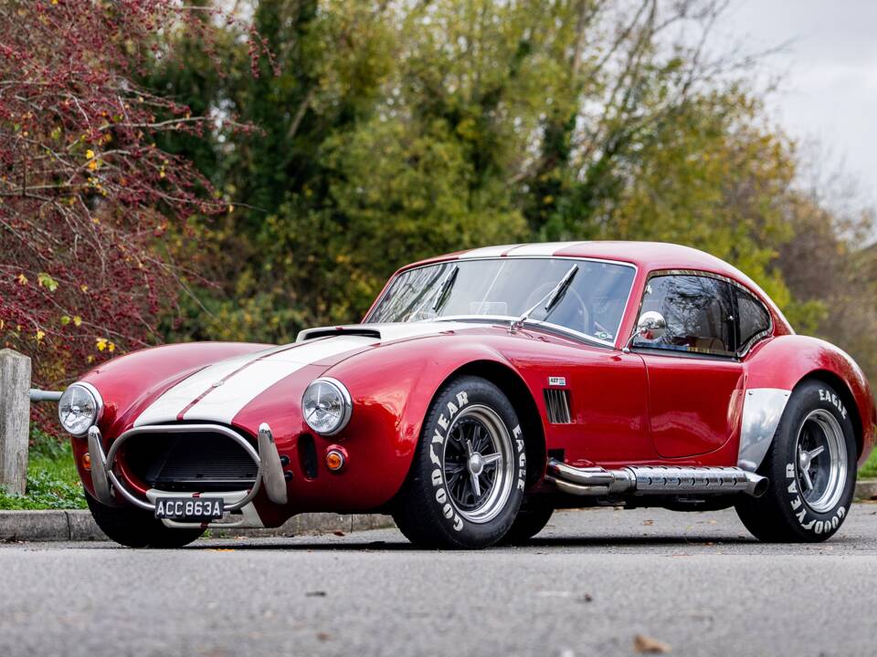 Afbeelding 1/50 van AC Cobra 289 (2000)