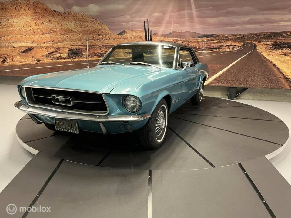 Immagine 11/50 di Ford Mustang 289 (1967)
