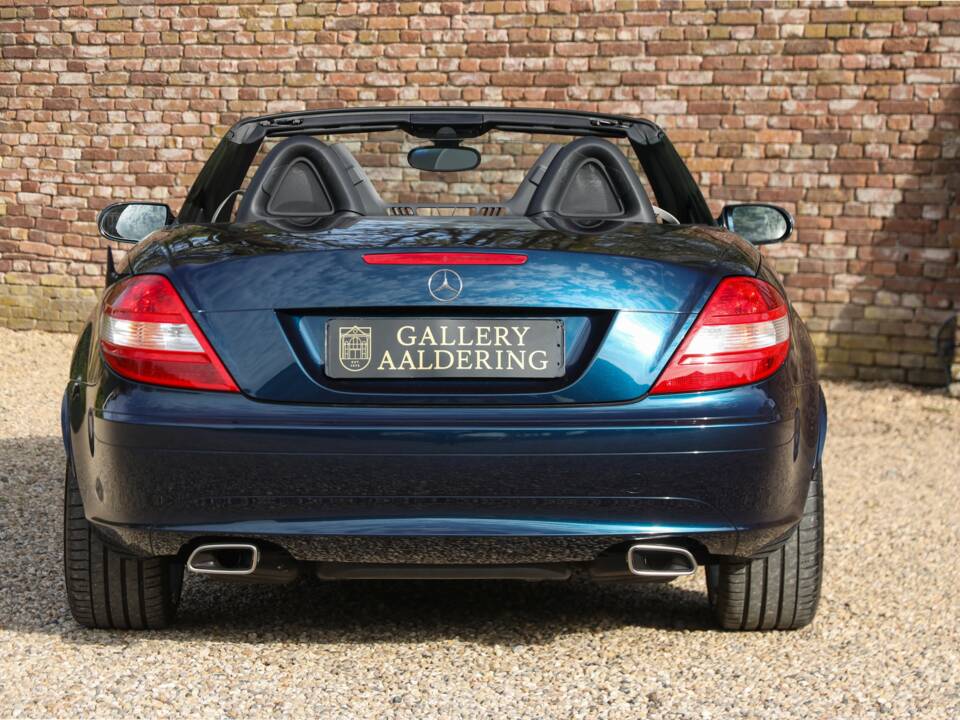 Bild 6/50 von Mercedes-Benz SLK 280 (2005)