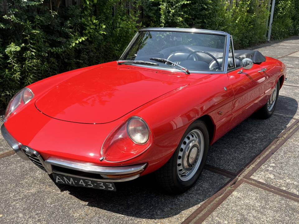 Image 2/7 of Alfa Romeo 1600 Spider Duetto (1967)