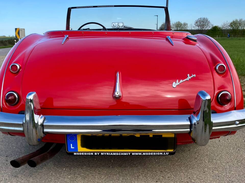 Bild 46/46 von Austin-Healey 100/6 (BN4) (1957)