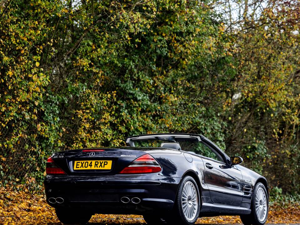 Bild 13/50 von Mercedes-Benz SL 55 AMG (2004)