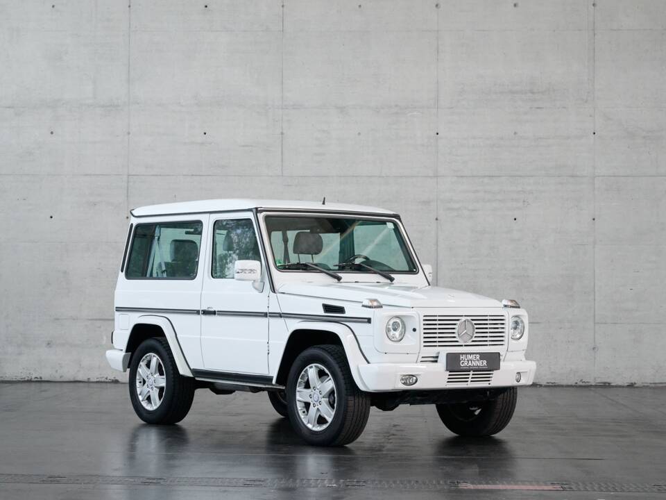 Bild 23/50 von Mercedes-Benz G 500 (kurz) (2007)