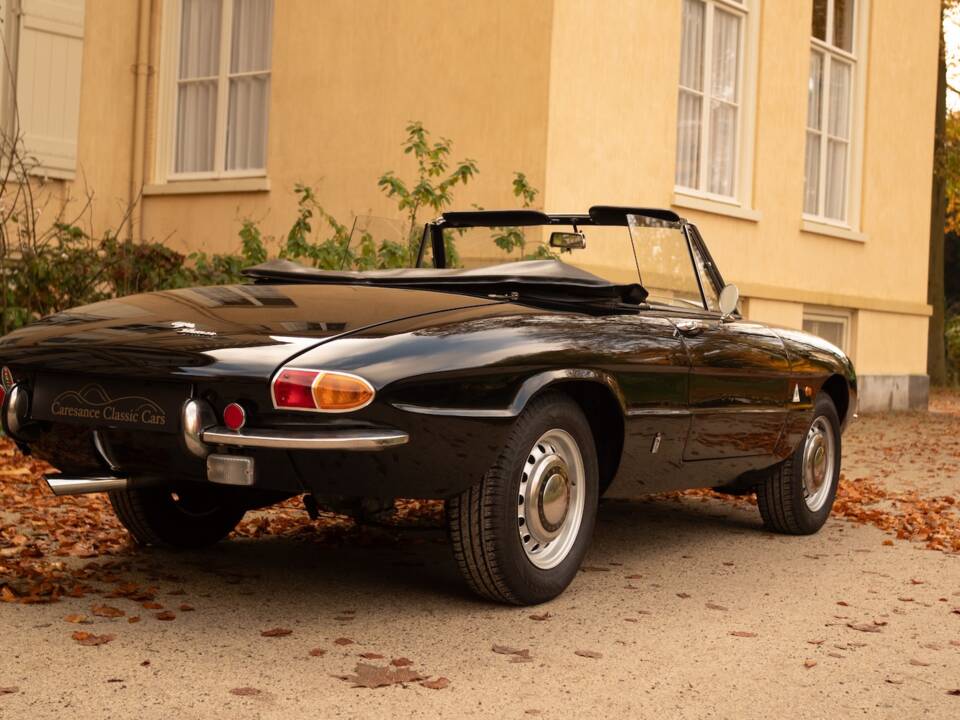 Image 44/51 of Alfa Romeo 1600 Spider Duetto (1966)