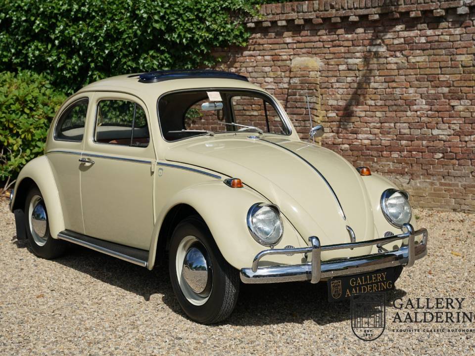 Image 30/50 of Volkswagen Käfer 1200 A (1964)