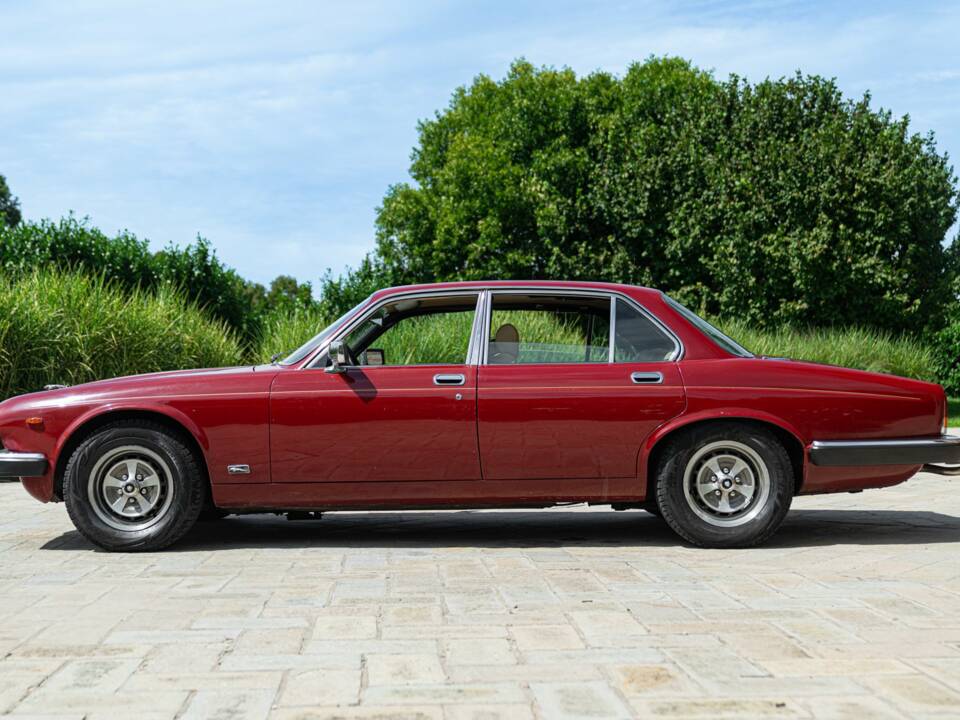 Bild 5/50 von Jaguar XJ 6 4.2 (1981)