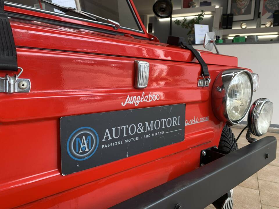 Immagine 4/14 di FIAT 600 Savio Jungla (1967)