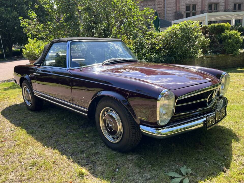 Immagine 52/59 di Mercedes-Benz 280 SL (1971)