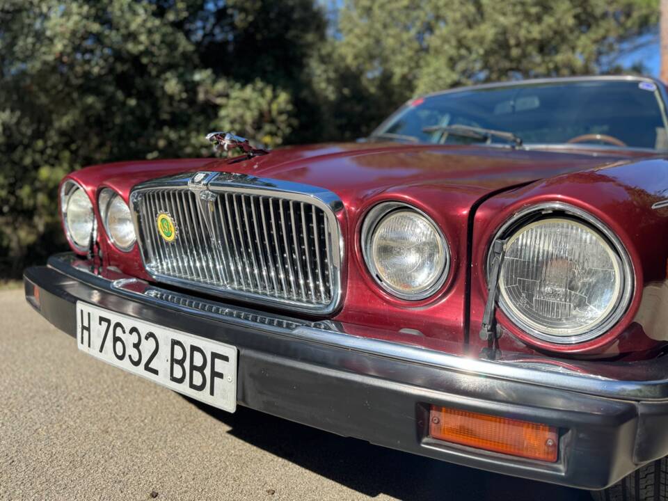 Immagine 33/41 di Jaguar XJ 12 (1990)