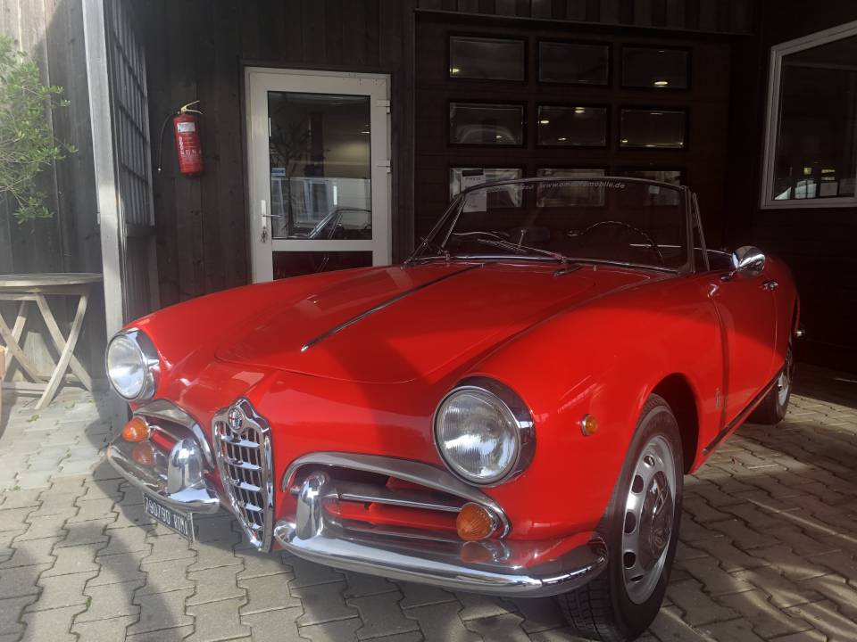 Bild 5/20 von Alfa Romeo Giulietta Spider Veloce (1962)