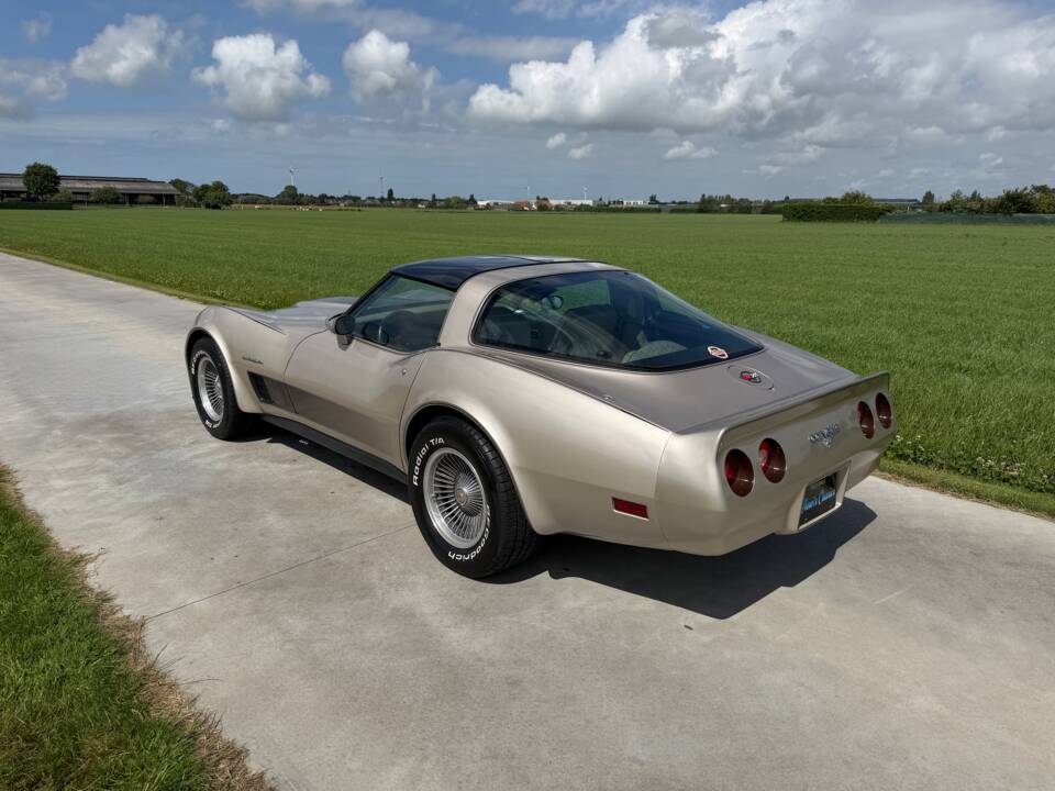 Afbeelding 3/50 van Chevrolet Corvette Collector Edition (1982)