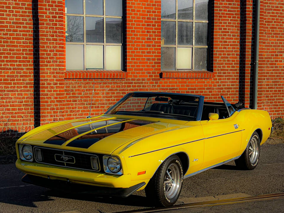 Image 1/10 of Ford Mustang 351 (1973)