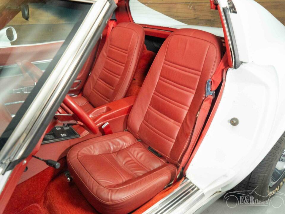 Image 11/19 of Chevrolet Corvette Stingray (1977)