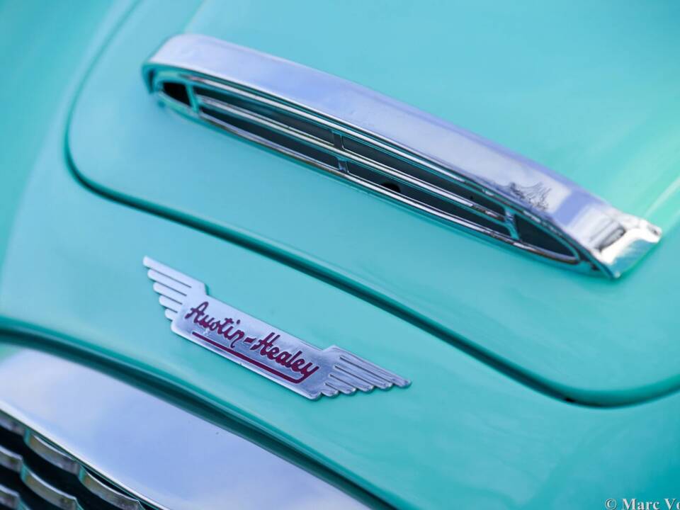 Immagine 30/48 di Austin-Healey 3000 Mk I (BN7) (1960)