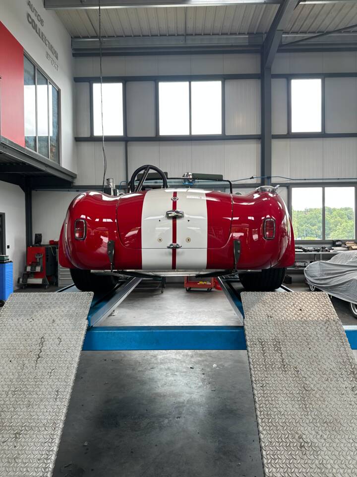 Immagine 15/20 di AC Cobra Lightweight (1994)