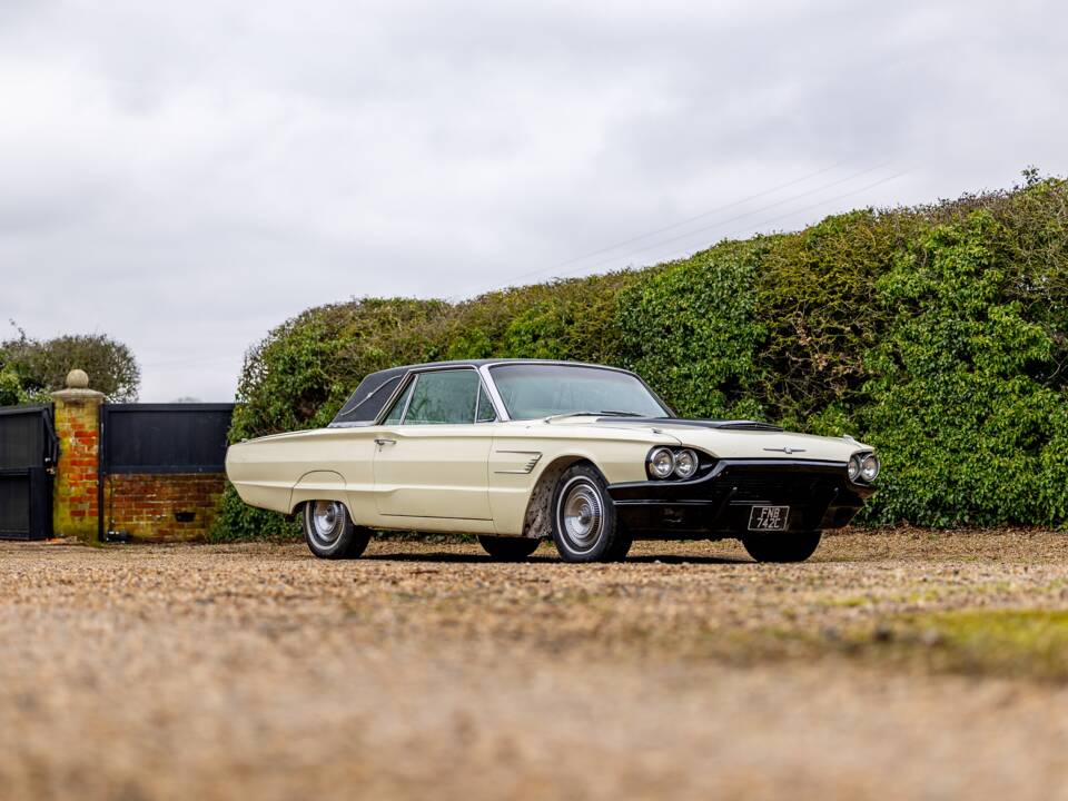 Afbeelding 45/45 van Ford Thunderbird (1965)