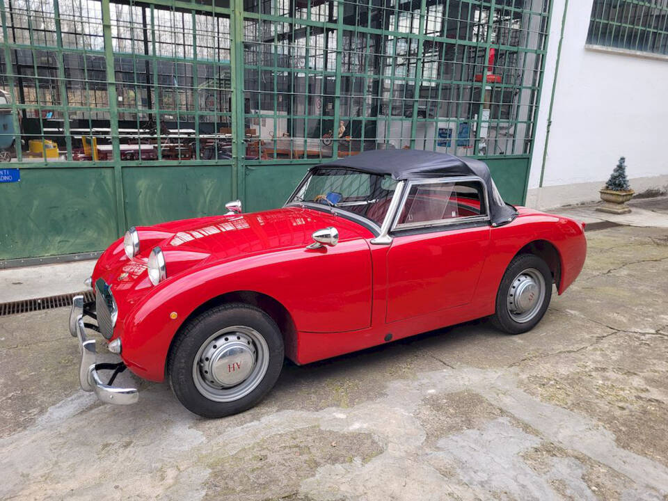 Image 27/51 of Austin-Healey Sprite Mk I (1960)