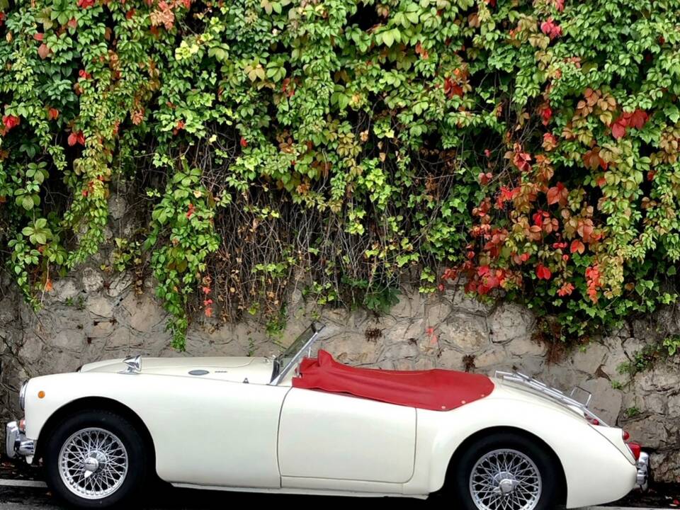 Image 11/18 de MG MGA 1600 (1961)