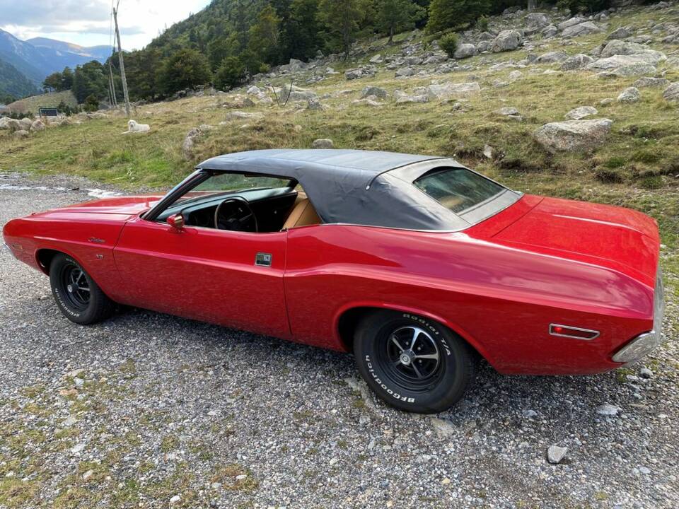 Immagine 8/8 di Dodge Challenger (1970)
