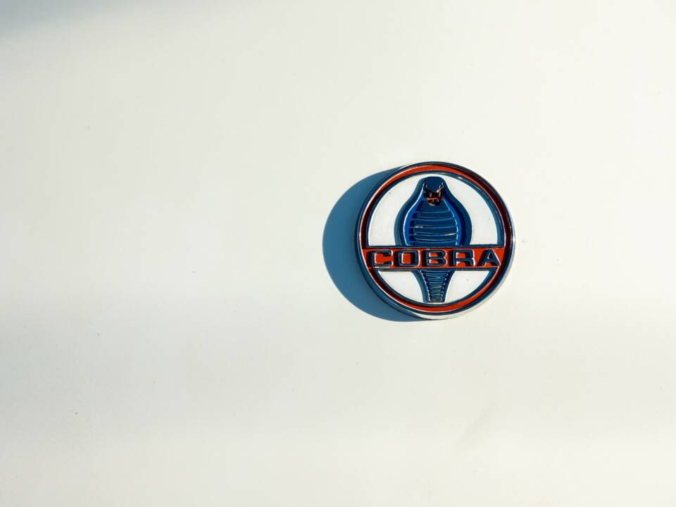 Image 43/49 of Shelby Cobra 289 (1964)