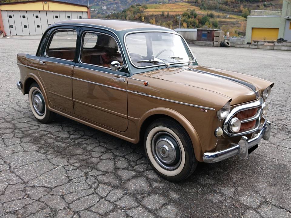 Bild 2/14 von FIAT 1100-103 Vignale (1955)