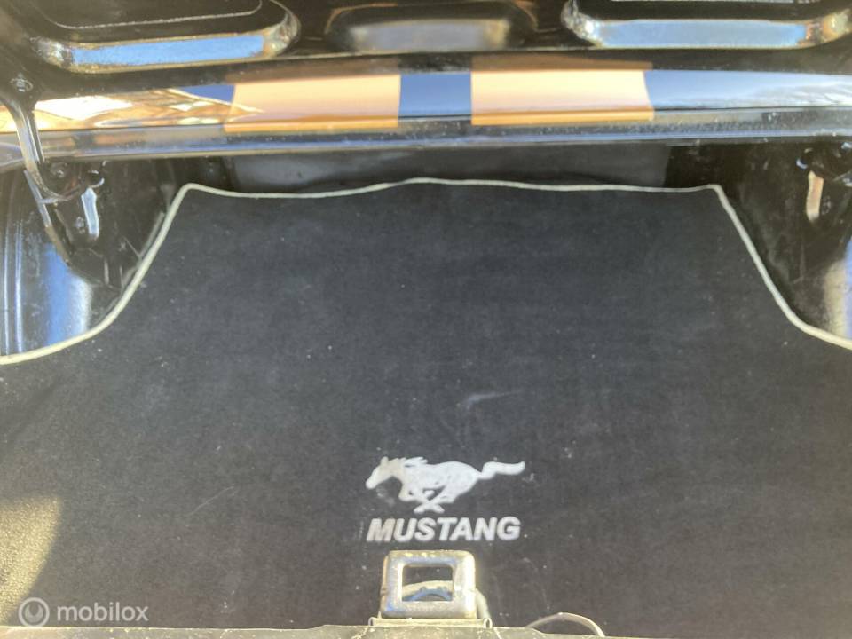 Image 29/50 of Ford Mustang 289 (1966)