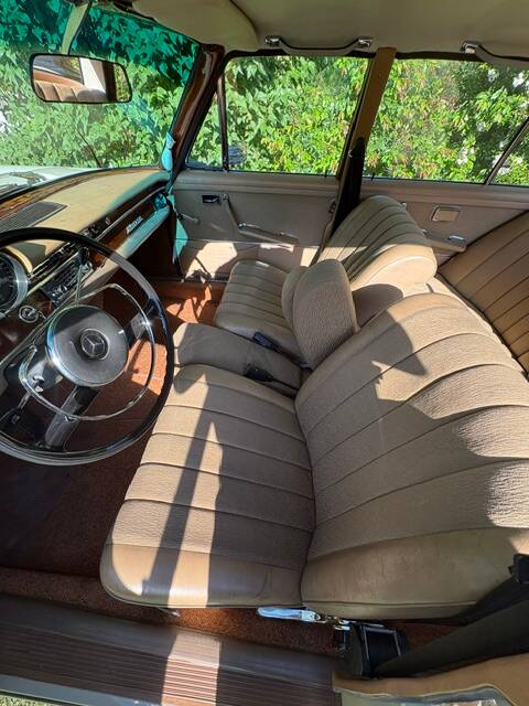 Image 22/52 of Mercedes-Benz 250 SE (1966)