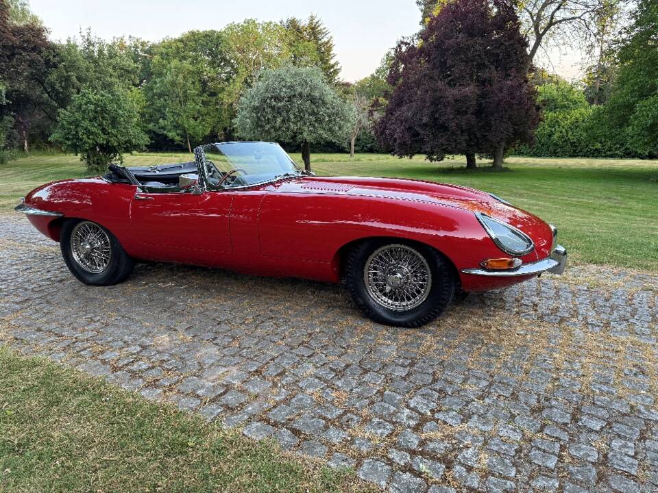 Bild 12/30 von Jaguar Type E 3.8 (1964)