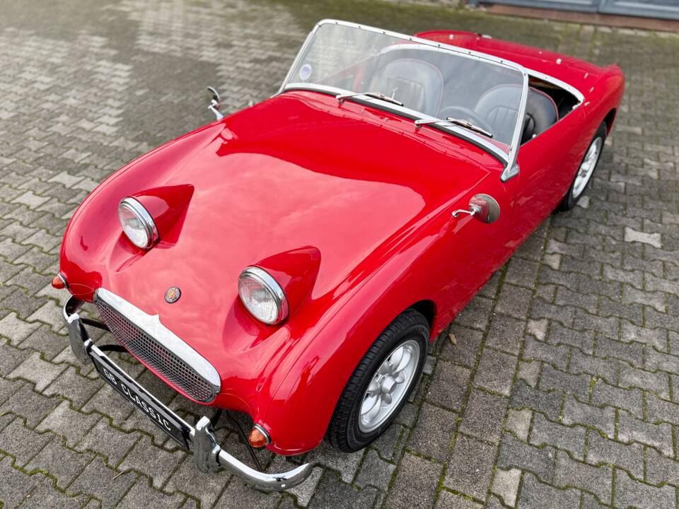 Image 10/40 of Austin-Healey Sprite Mk I (1958)