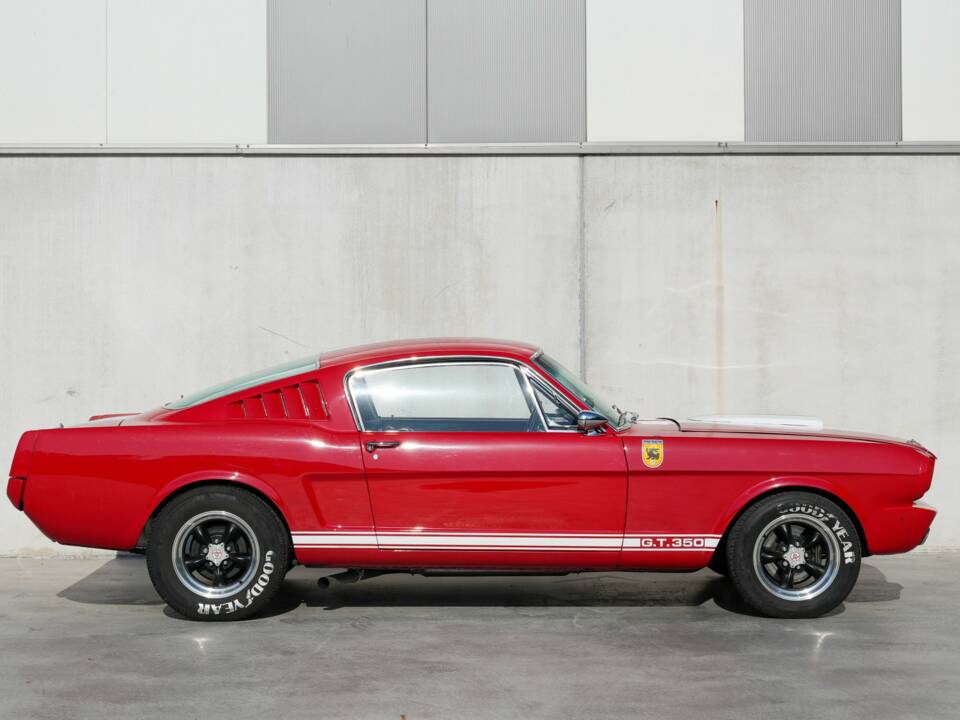 Image 9/50 of Ford Shelby GT 350 (1965)