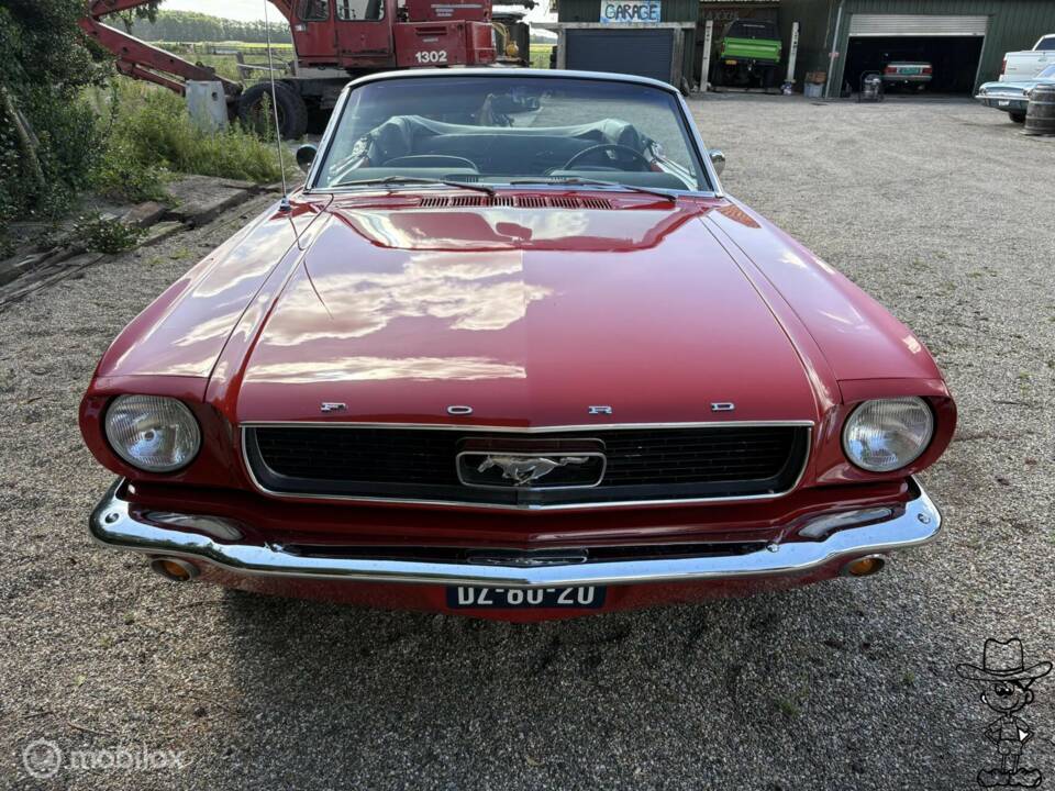 Bild 3/50 von Ford Mustang 289 (1966)