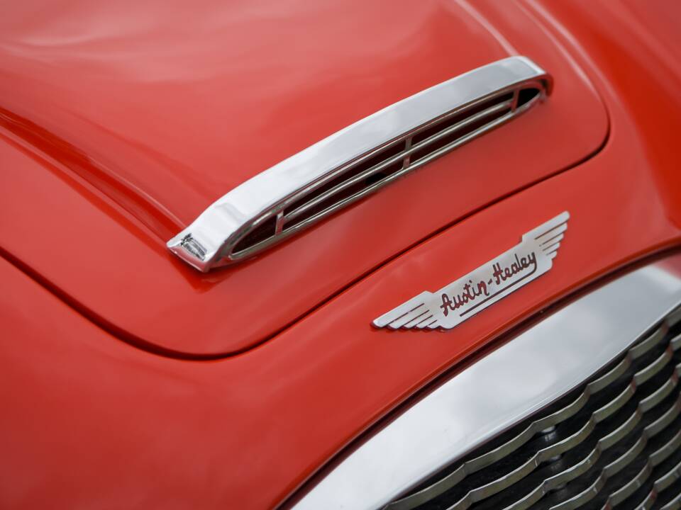 Bild 21/30 von Austin-Healey 3000 Mk I (BN7) (1959)