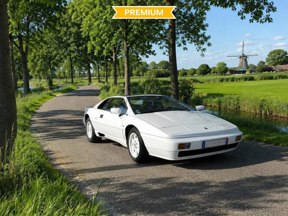 Bild 1/8 von Lotus Esprit (1989)