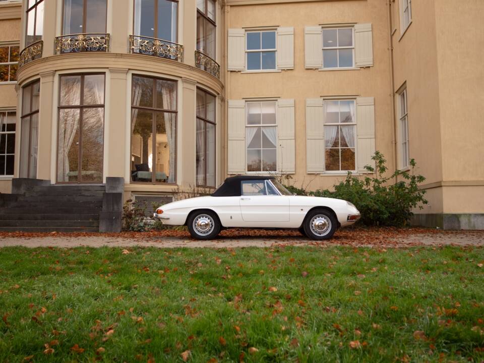 Image 4/50 de Alfa Romeo 1600 Spider Duetto (1967)