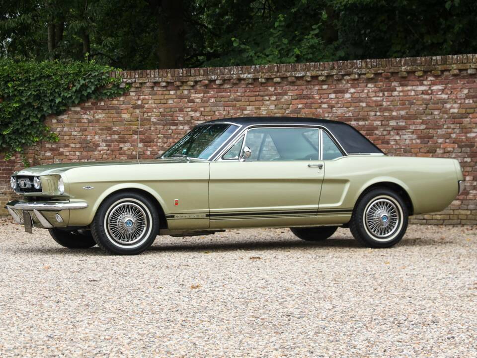 Image 19/50 of Ford Mustang GT (1966)