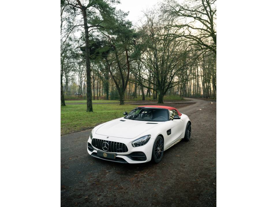 Immagine 7/50 di Mercedes-AMG GT-C &quot;Edition 50&quot; (2017)