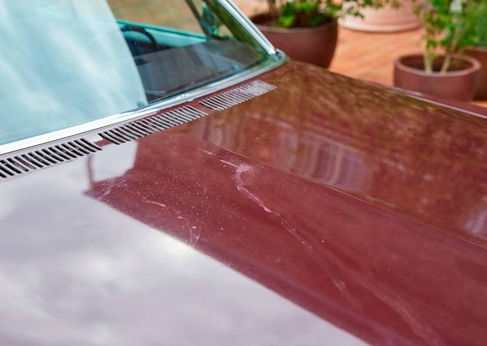 Bild 102/200 von Cadillac Coupe DeVille (1968)