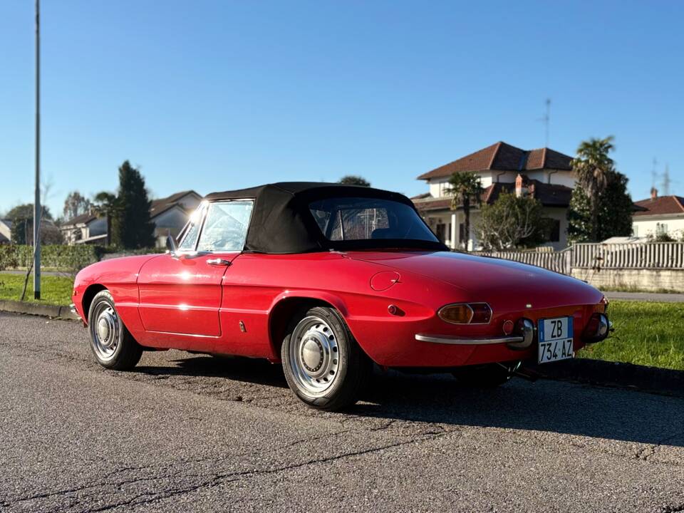 Bild 4/18 von Alfa Romeo 1750 Spider Veloce (1970)