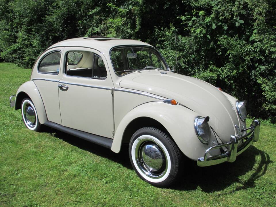 Image 25/39 of Volkswagen Maggiolino 1200 Export "Dickholmer" (1964)