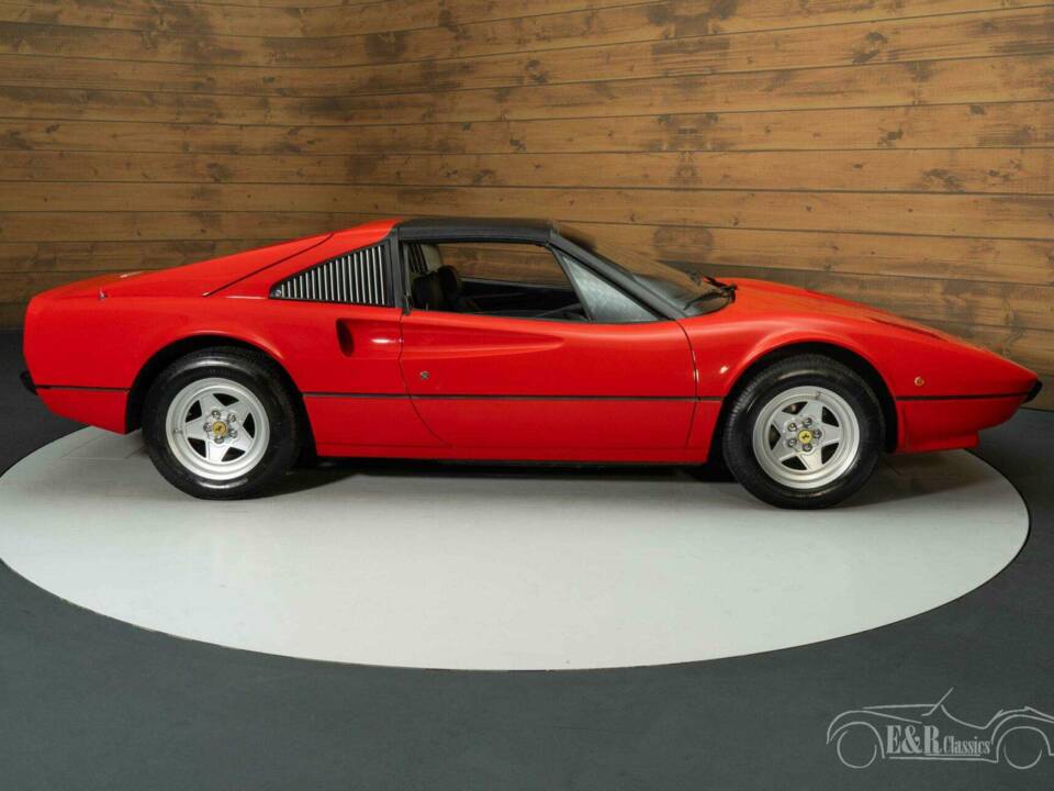 Image 10/19 of Ferrari 308 GTSi (1981)