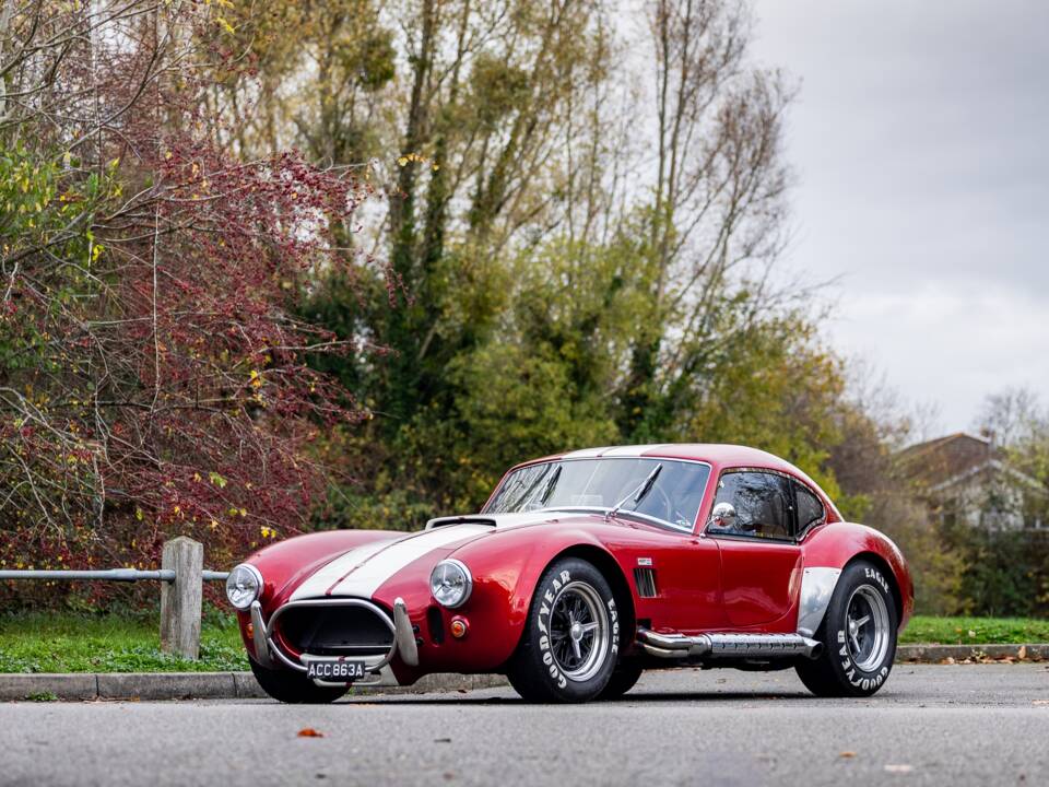 Afbeelding 19/50 van AC Cobra 289 (2000)