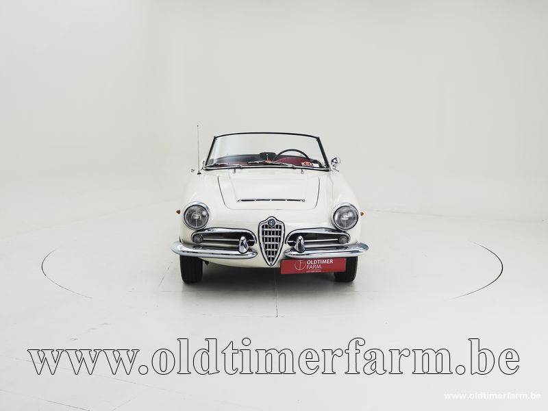 Bild 5/15 von Alfa Romeo Giulia 1600 Spider Veloce (1965)