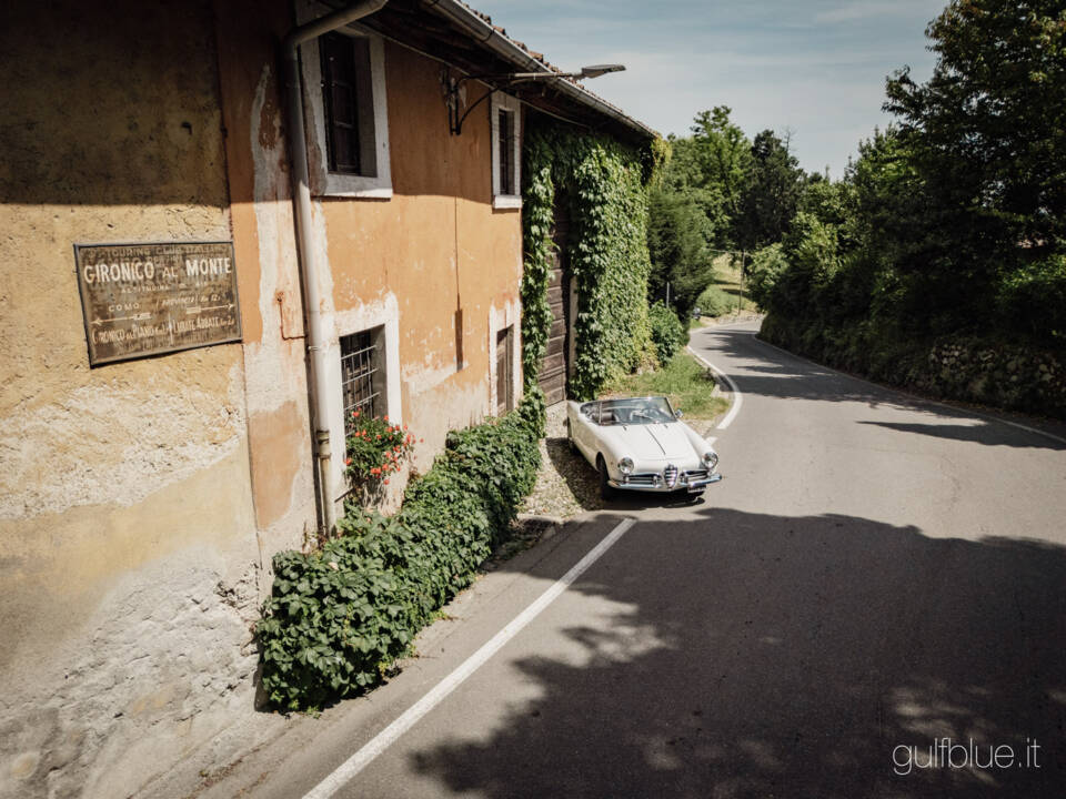 Image 6/71 de Alfa Romeo Giulietta Spider (1960)